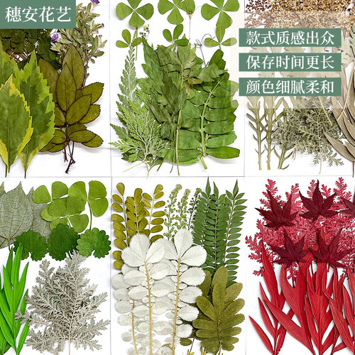 植物绿叶diy幼儿园手工