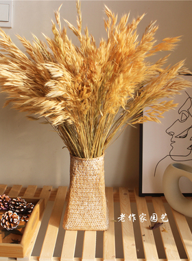 天然秋色小燕麦筱麦穗束真花背景橱窗道具文艺干草装饰干枝花束