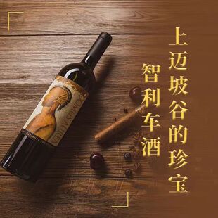 智利十八罗汉金殿多墨山金色圣殿赤霞珠干红葡萄酒750ML红酒