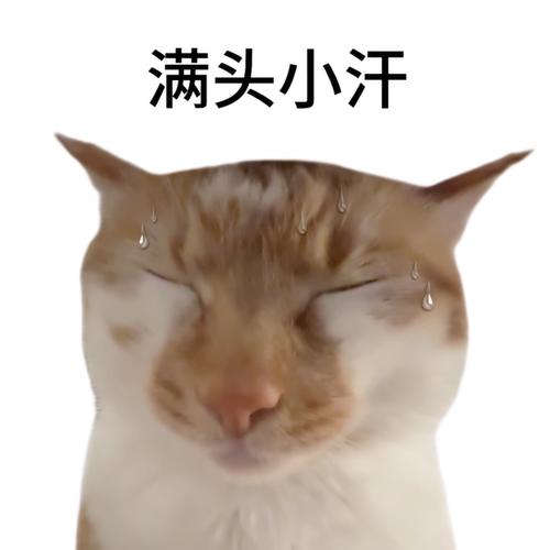 仅店铺会员拍 4月韩系腮红盘 货损大杂烩 发货后不退不换