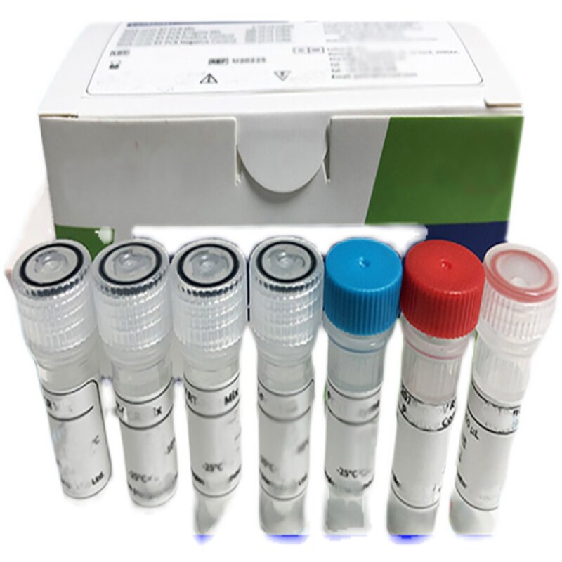 绵羊（Sheep）支原体（Mycoplasma） ELISA检测试剂盒