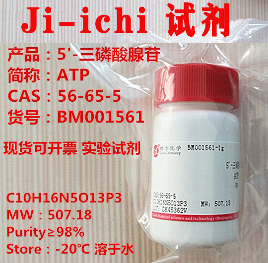 ATP/5'-三磷酸腺苷/CAS:56-65-5/纯度≥98%   实验试剂  现货