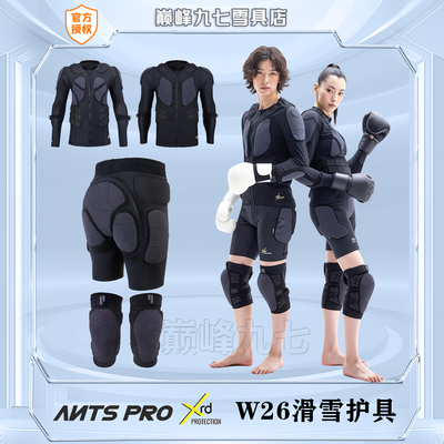 专业单双板滑雪护具套装ANTSPRO