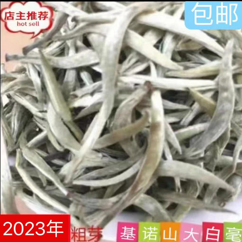 云南普洱茶2023年头春大白毫景谷白茶芽尖散茶单芽毛尖250克包邮