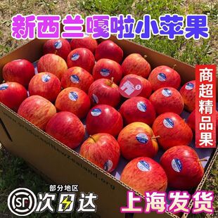 顺丰发货新西兰进口嘎啦果加力果姬娜果新鲜苹果当季孕妇儿童水果