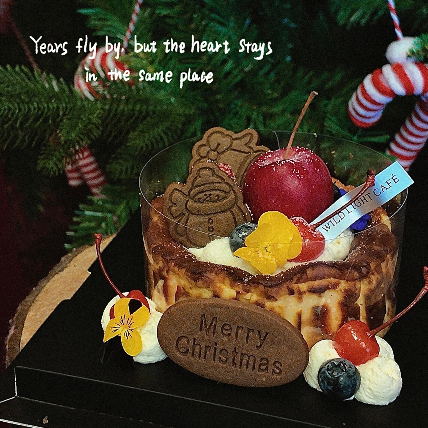 2026网红圣诞节快乐饼干蛋糕装饰圣诞老人雪人烘焙甜品装扮饼干,节庆用品/礼品,节日装扮用品,淘宝优惠券,粉丝福利购,淘宝优惠卷