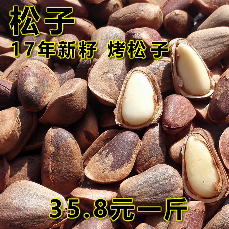 ¿ª¿ÚËÉ×Ó500gлõÔζ´ó¿ÅÁ£¶«±±ÌزúÒ°ÉúºìËÉ×ÑÉ¢×°¼á¹ûÁãʳ°üÓÊ