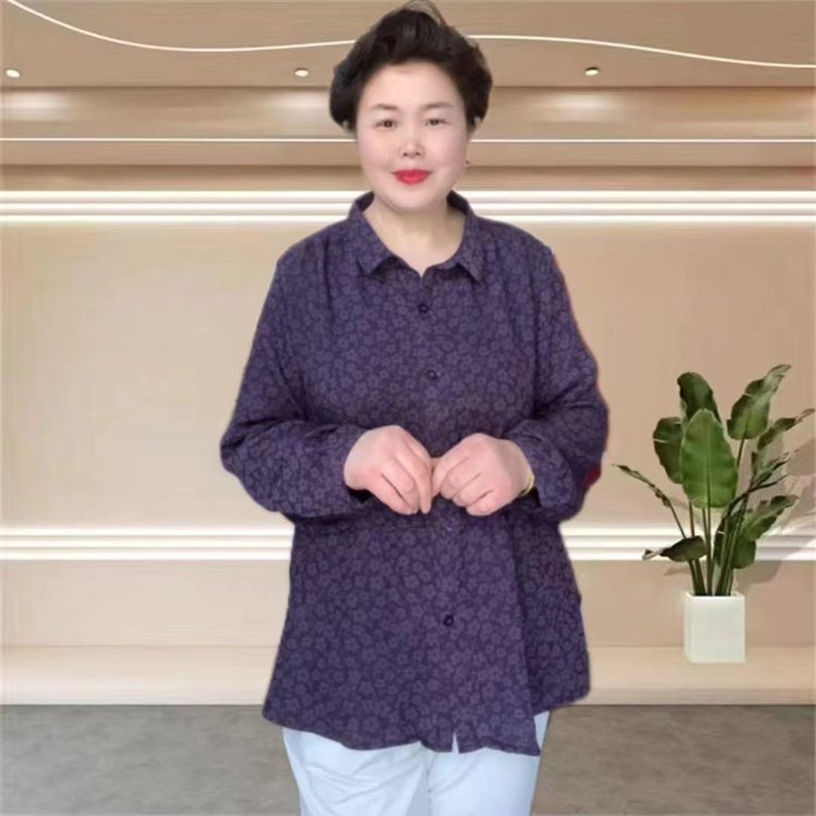 2026秋季新款国风女款大码时衬衫