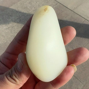 正宗新疆和田玉籽料高脂粉羊脂白玉原石切料龙龟貔貅做料收藏级