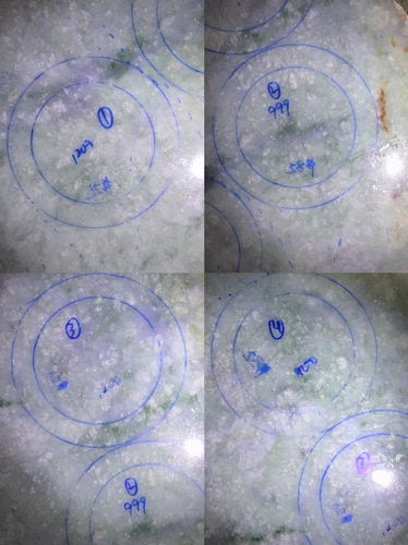 B版高糯化手镯料带紫带飘花带雪花棉天然缅甸翡翠保真保A假一罚三