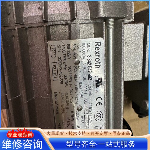 {议价}力shi乐三相异步电动机 3SLEK63-4C2/339
