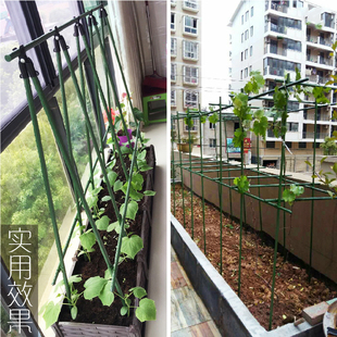 家庭绿植阳台菜园包塑铁管 DIY支柱杆 花支架园艺支架爬藤类花架