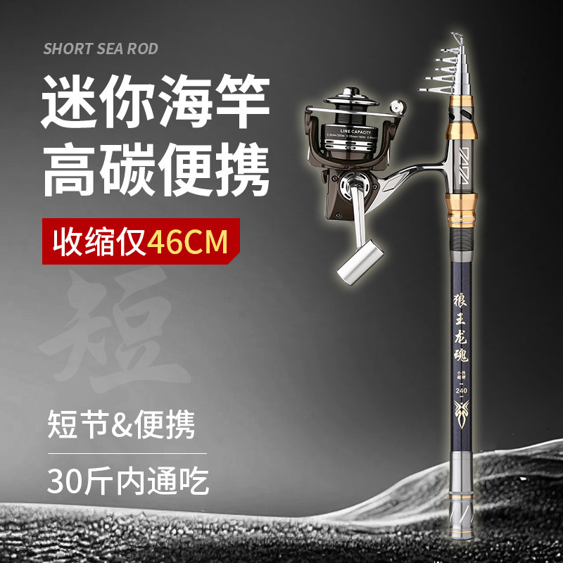 2026新款迷你便携小海竿图片