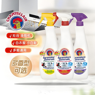 【意大利进口】正品大公鸡清洁剂万能厨房重油污净油烟机清洗神器