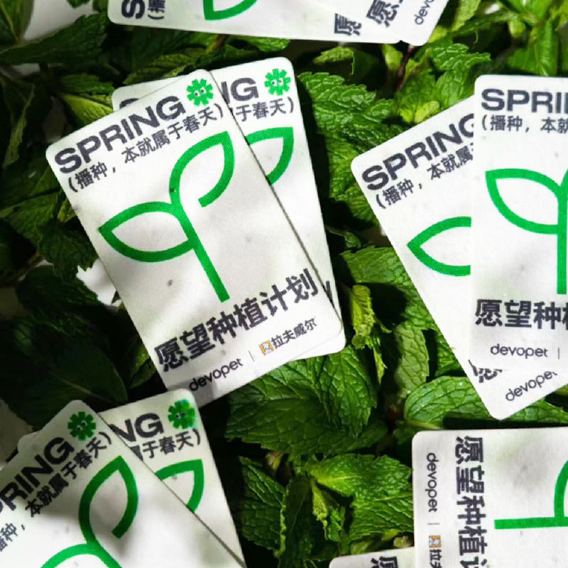 环保种子纸小卡片名片吊牌门票定制创意生日邀请定做个性diy贺卡