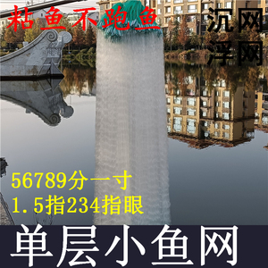 单层浮网渔网沉网白条餐条专用小鱼网丝网沾网白条网厂家直销