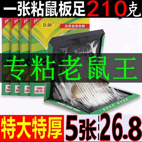 加大粘鼠板强力粘鼠板巨融老鼠