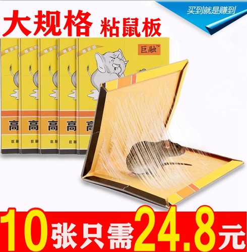 家用捕鼠神器巨融老鼠