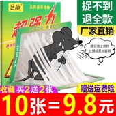 10张老鼠贴强力粘鼠板超强粘力一锅端抓大老鼠灭鼠笼捕鼠沾胶家用