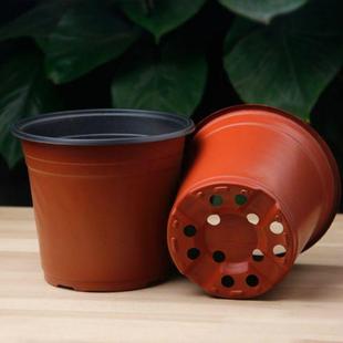 双色盆育苗盆塑料花盆一次性盆营养钵培育栽绿植扦插盆种植种菜