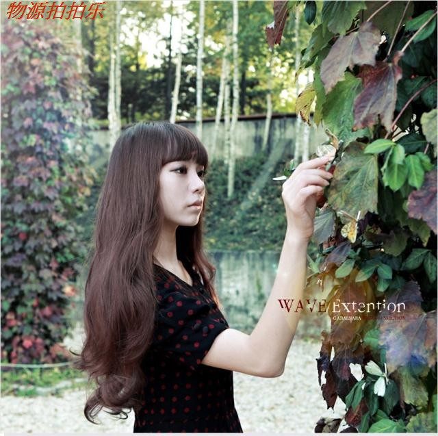 Extension cheveux - Ref 220376 Image 3