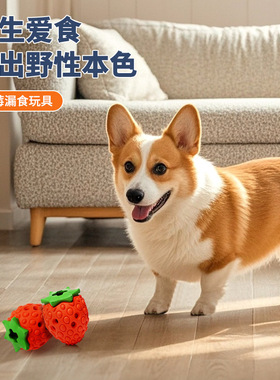 Strawberry Chew Toy for Dogs,Natural Rubber Balls 狗狗玩具