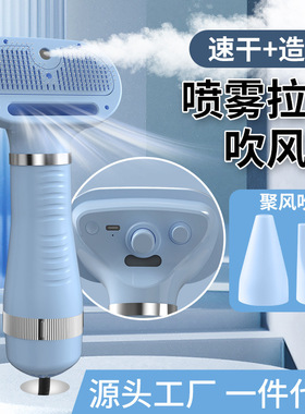 Pet Hair Dryer Dog Blow Dryer  300W ,Adjustable Temperature