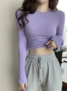 2025夏秋甜美显白香芋紫色打底衫修身ins纯欲风长袖薄款防晒T恤女