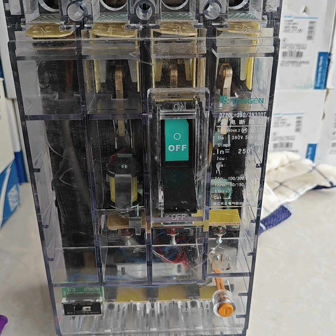 天正DZ20L-250漏电断路保护器4p250A ，没有包装议价