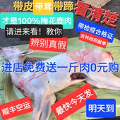 送礼 活鹿肉新鲜现杀 鹿排整只鹿腿带皮 梅花鹿养殖场 顺丰空运