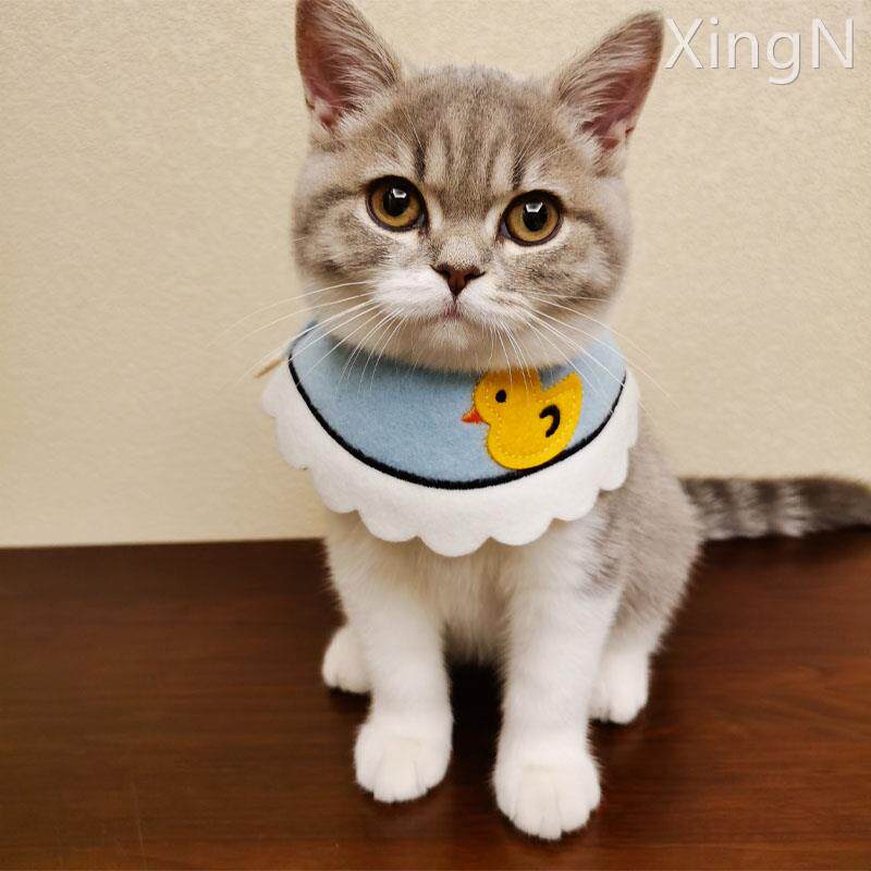 猫咪脖子饰品宠物围脖饰品可爱美短项圈口水巾围巾小鸭子围脖幼猫