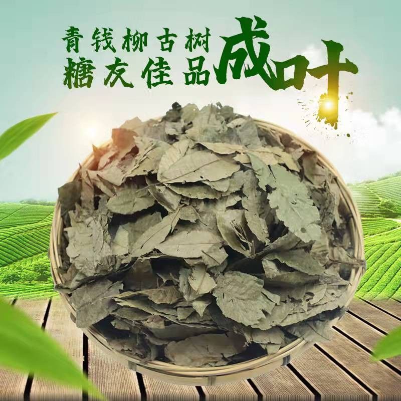 高品质青钱柳茶叶青钱柳调理糖嫩叶降养生清金钱柳嫩芽原叶茶250g
