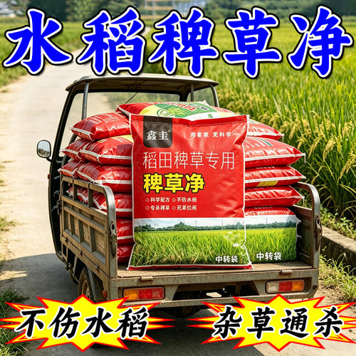水稻苗后专用除草剂不伤水稻苗