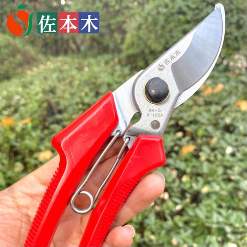 日本进口钢佐川田120园林剪刀修枝剪果树剪刀剪枝树枝剪仿爱丽丝