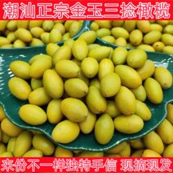 当季潮汕特产潮汕金灶正宗金玉三捻橄榄百年老树新鲜水果年礼手信