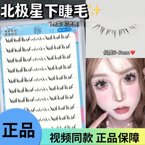 免胶爆款北极星下睫毛懒人假睫毛仿真辣妹浓密自然漫画毛流感单簇
