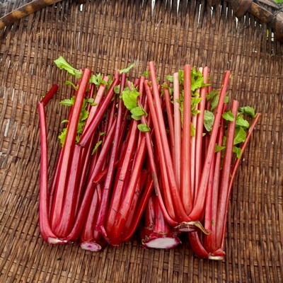 新鲜红萝卜樱子泡菜萝卜杆子