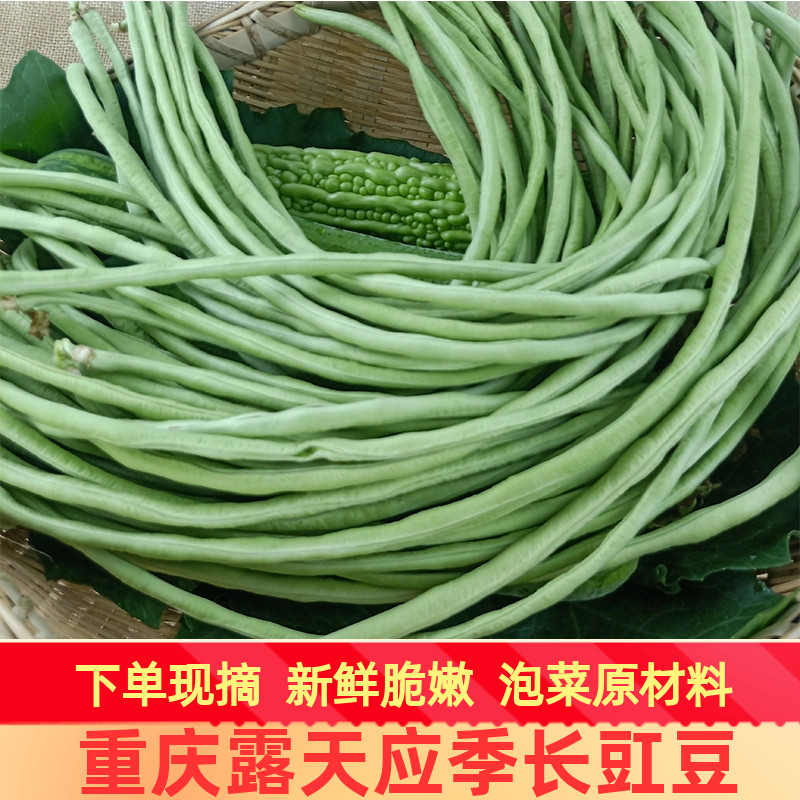 农家当季露天蔬菜现摘新鲜豇豆5斤重庆嫩长豆角腌制泡菜原料包邮