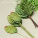 高仿真叶子 拍摄道具 DIY手工材料 绒布 草帽装 饰 3.9元 12片