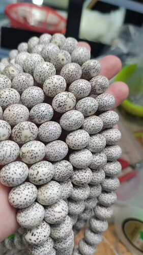 同枝果星月菩提原生态顺白14玄月苹果圆120粒长串挂链念珠佛珠