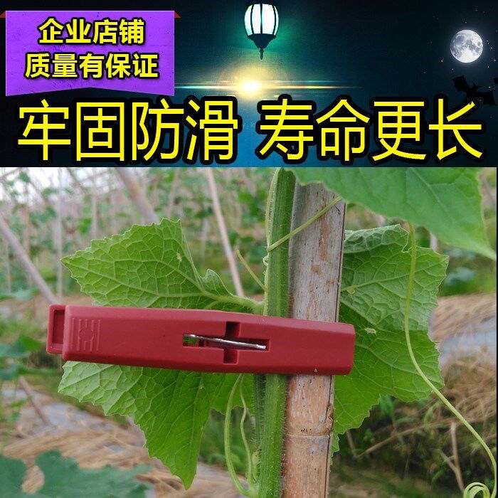 冬瓜夹子塑料绑冬瓜夹 冬瓜扶藤夹子冬瓜绑枝扶蔓夹绑秧