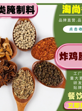 原味香辣腌料炸鸡烧烤调味料