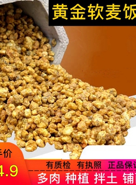 正宗韩国黄金软麦饭石颗粒10斤多肉装饰铺面种植拌土颗粒土营养土