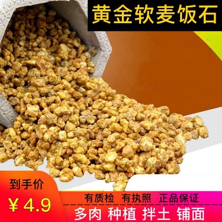 韩国颗粒多肉种植黄金软麦饭石