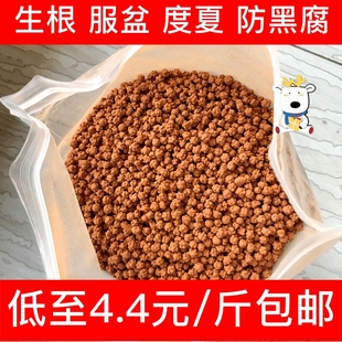 多元土多肉颗粒土正品多元复合营养土球球土发根种植铺面拌土赤玉