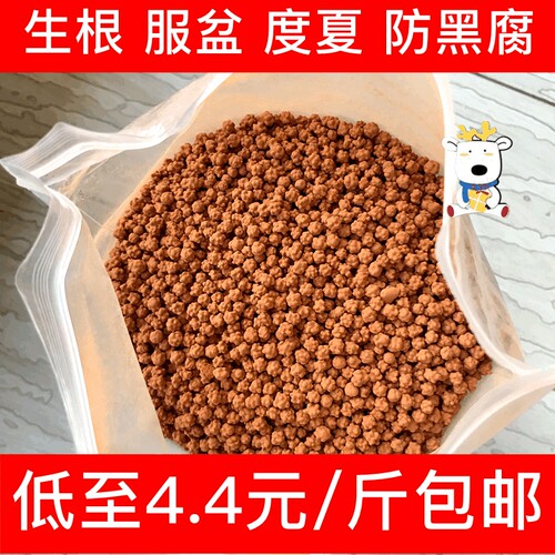 多元土多肉颗粒土正品发根种植
