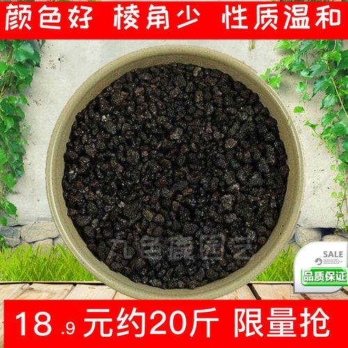 20斤黑色火山石多肉造景水族设备
