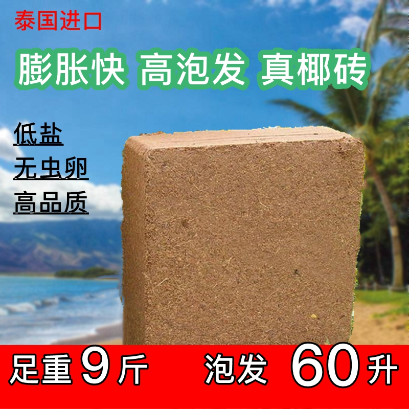 10斤进口大椰砖椰土耶种植种菜