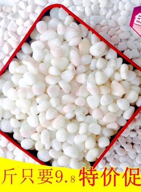 天然 鹅卵石白石子白色小石头雨花石景观盆景铺面石透气清仓十斤