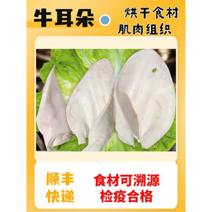 新鲜牛耳朵狗狗猫咪烘干食材宠物自制零食食材处理干净顺丰
